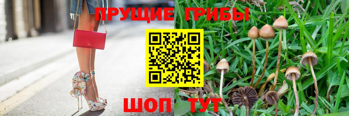 Асбест  Псилоцибиновые грибы Psilocybine cubensis  Вход с VPN  Галлюциногенные грибы ЛСД 